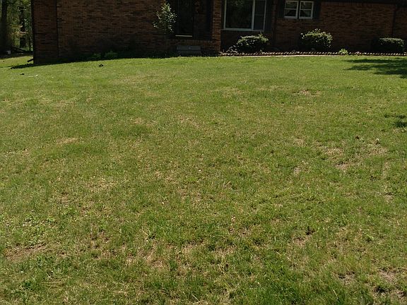 Beautiful country home