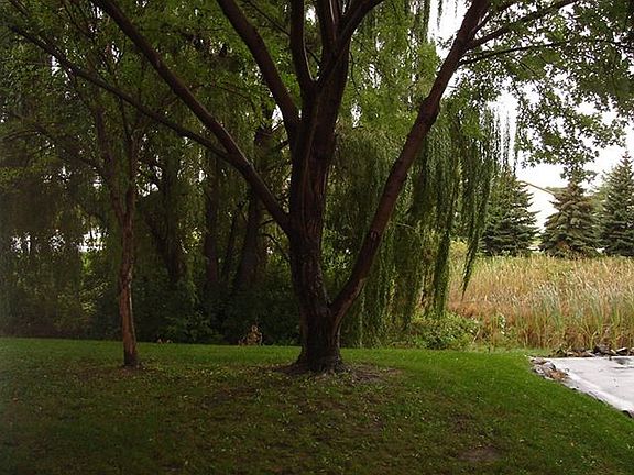 4th image of 832 Woodgate Dr #107
