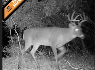 12000 W 223rd, Manitou Beach, MI 49253