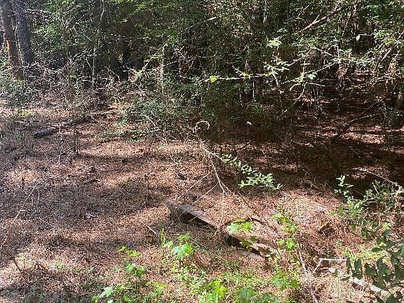 2nd image of 410 Brock Rd
