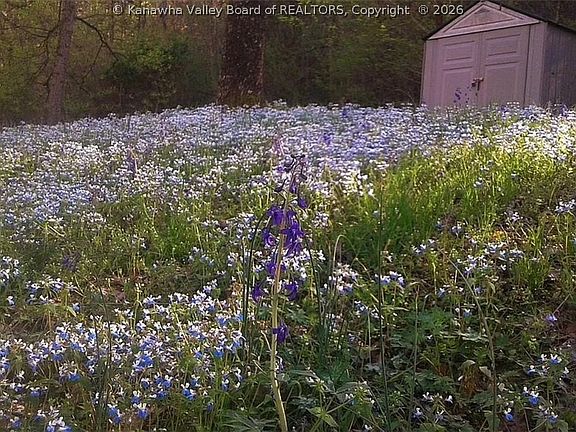 3rd image of 340 Tate Hollow Rd