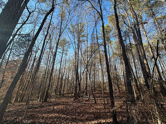 Photo Jan 26 2026 3 57 41 Pm