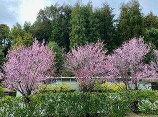 (Undisclosed Address), Mill Valley, CA 94941