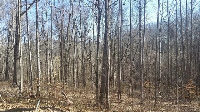 1st image of 999 Bee Balm Way #54