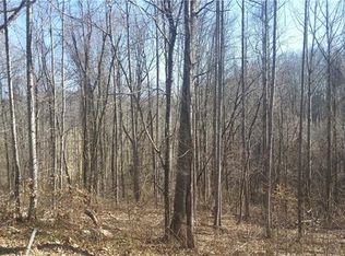 999 Bee Balm Way #54, Asheville, NC 28804