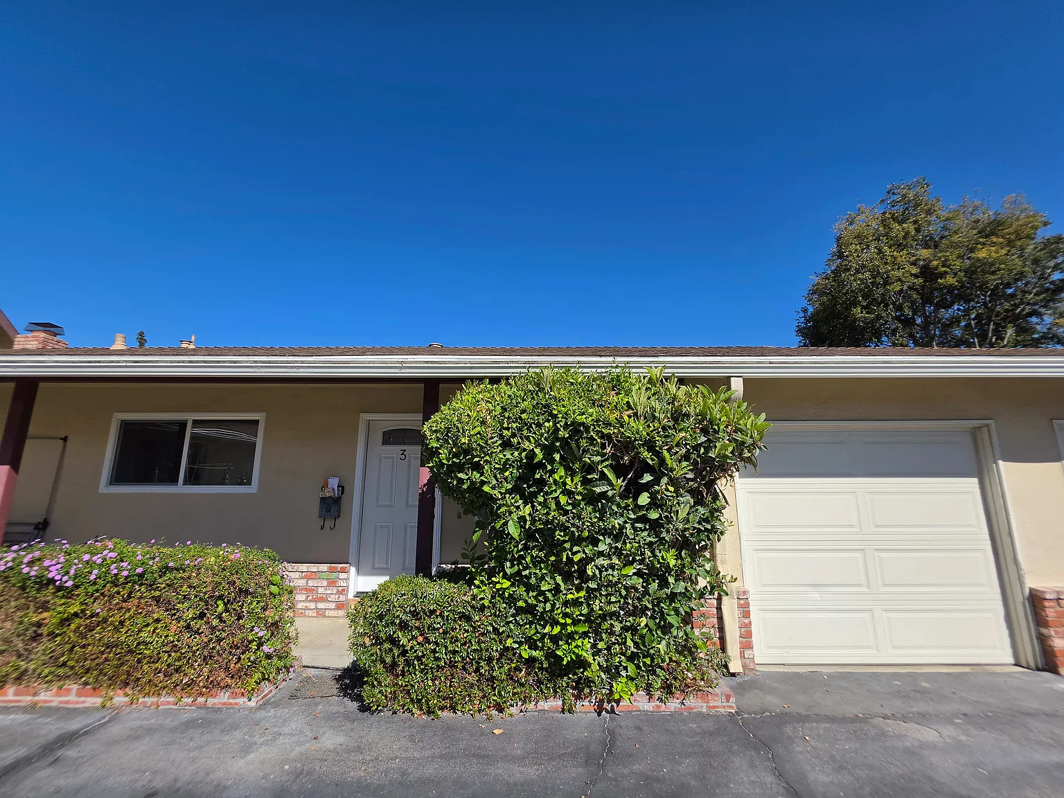 2 bed, 800 sqft, $4,300 — Photo 2