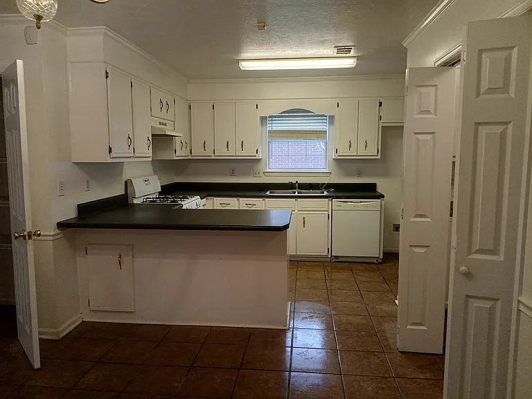 2514 Lennys Dr — Photo 4