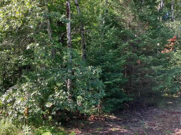 Ashard Rd, Lake, MI 48632