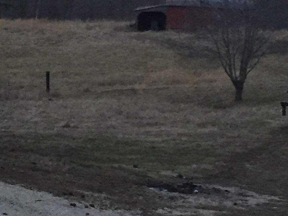 2nd image of 416 County Road 477