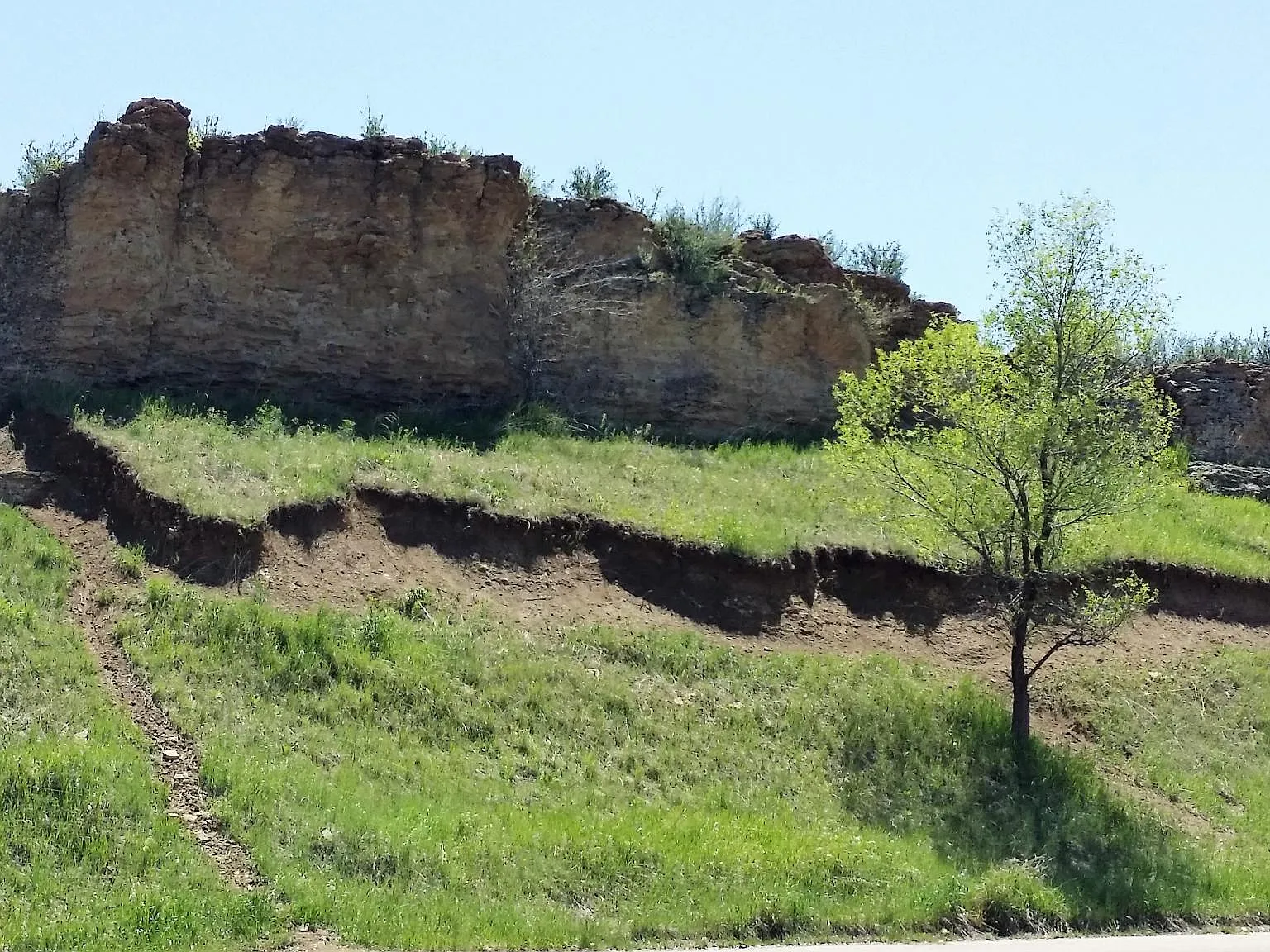 Fort Collins Best Kept Secret Avail 1/1 — Photo 4