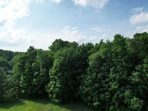 33 W 20th Rd, Mesick, MI 49668