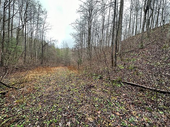 4th image of 320 Board Tree Rd