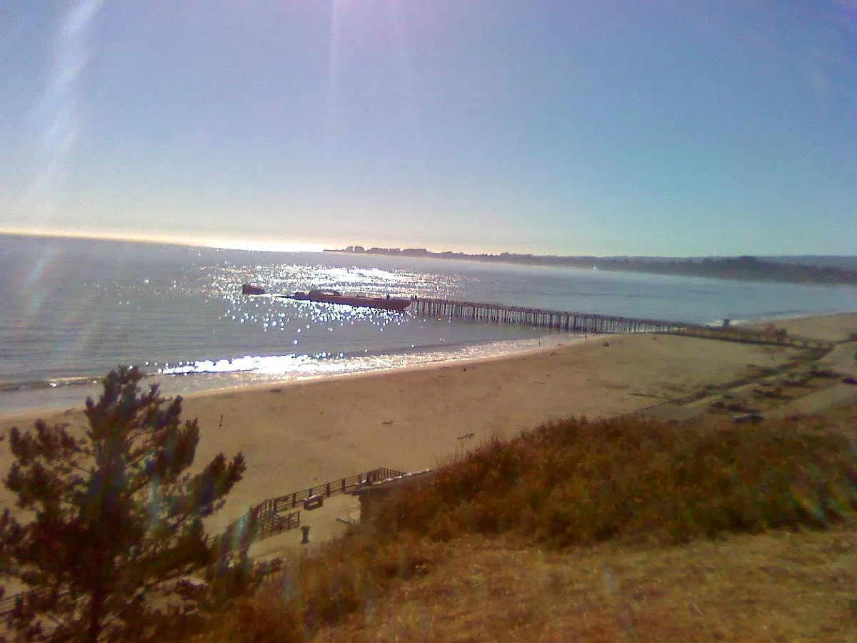 1 bed, 1750 sqft, $1,500 — Photo 4