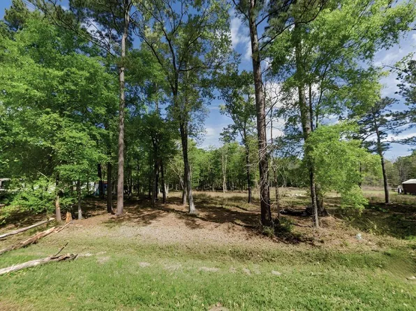 158 County Road 6502 W Lot 19, Dayton, TX 77535