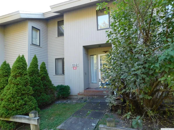 66 Loo Bridge Ln, Windham, NY 12496