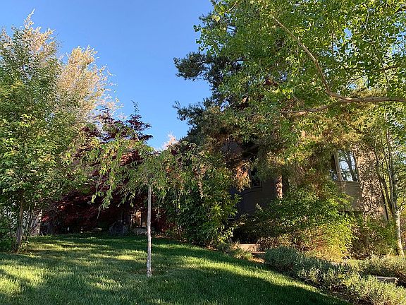 Front yard