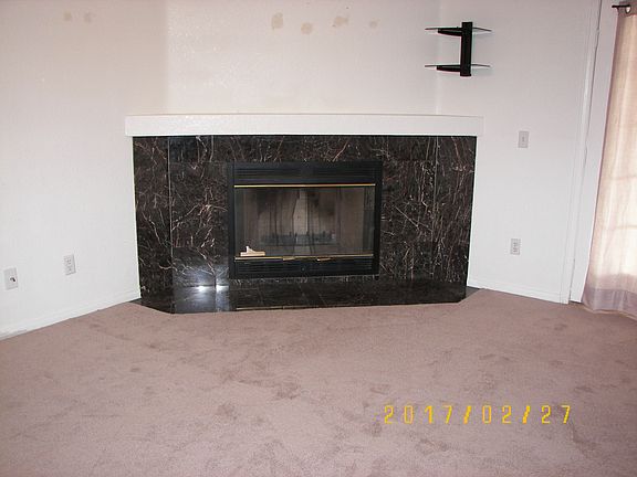 Wood burning fireplace