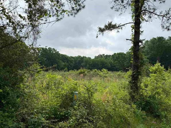 County Road 401 S, Henderson, TX 75654
