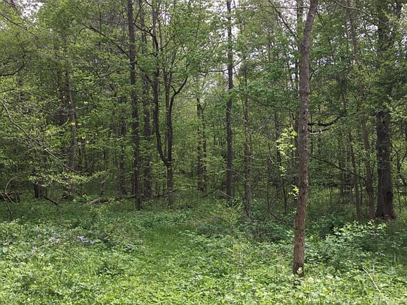 4th image of 5695 County Road 98