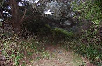 1st image of 142 Polaris Blvd SW
