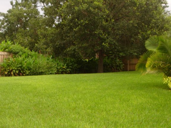 Large Back Yard backs up to woods