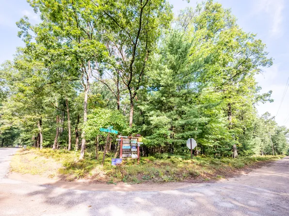 Lots 1 4 & 33 36 W Central Park Blvd, Baldwin, MI 49304