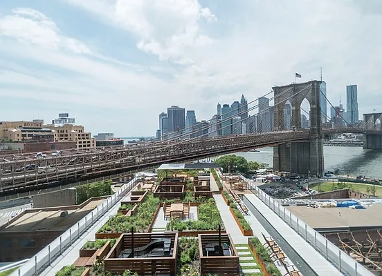 Rented by Two Trees | media 16