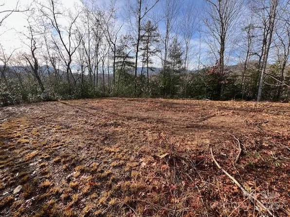 2 Tobacco Branch Rd, Almond, NC 28702