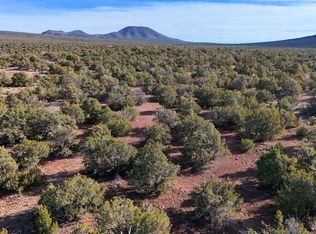 731 E Snowdrift Rd #Road248, Williams, AZ 86046