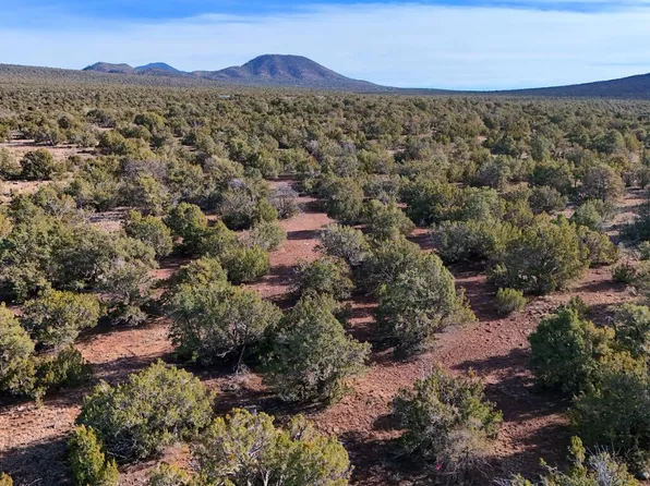 731 E Snowdrift Rd #Road248, Williams, AZ 86046