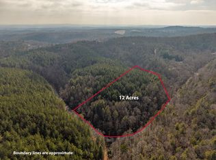 Pleasant Gap Rd, Ellijay, GA 30540