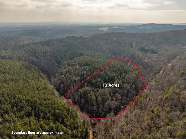 Pleasant Gap Rd, Ellijay, GA 30540