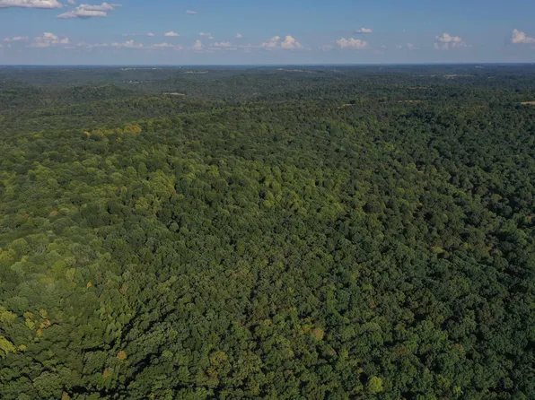 0 Herring Mill Rd, Elkton, KY 42220