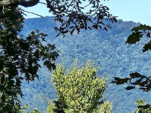 10 Red Sleigh Way, Fleetwood, NC 28626