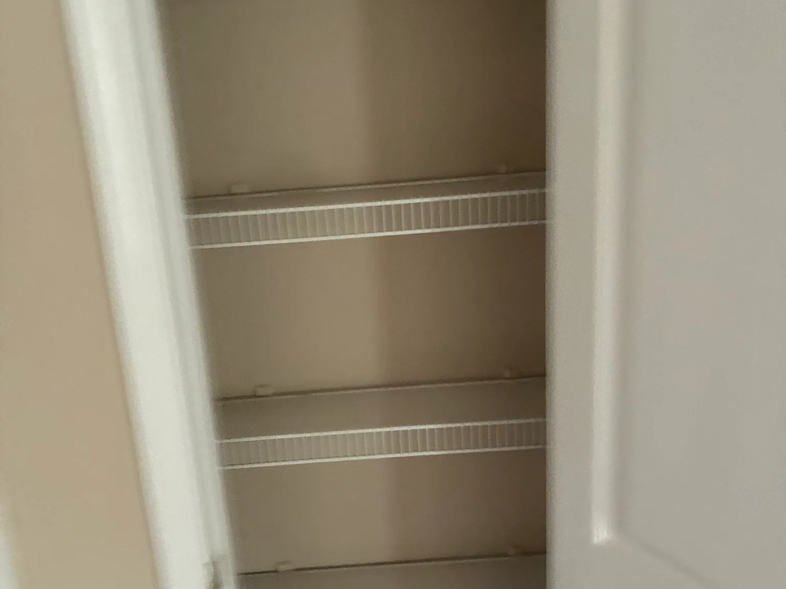 1 bed, 650 sqft, $875 — Photo 1