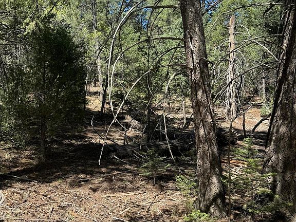2nd image of Sierra Vista Dr