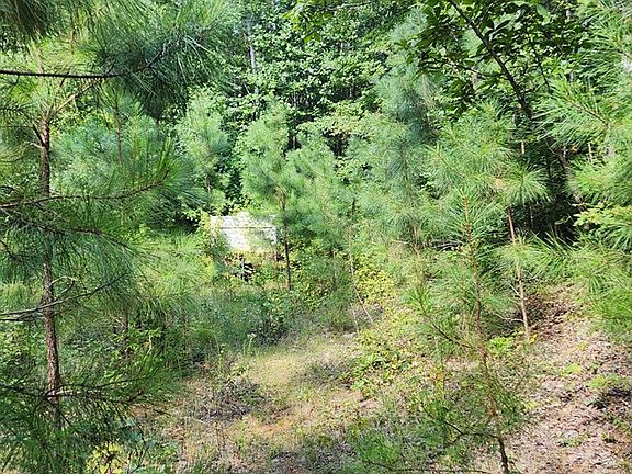 3rd image of 0 Swinford Ln