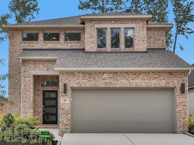 287 Mallards Rim Dr, Willis, TX, 77318