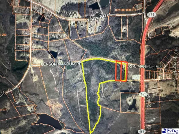 LOT 2 Lenson Mangum Rd, Pageland, SC 29728
