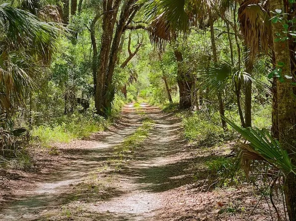0 SW Shiloh Rd, Cedar Key, FL 32625
