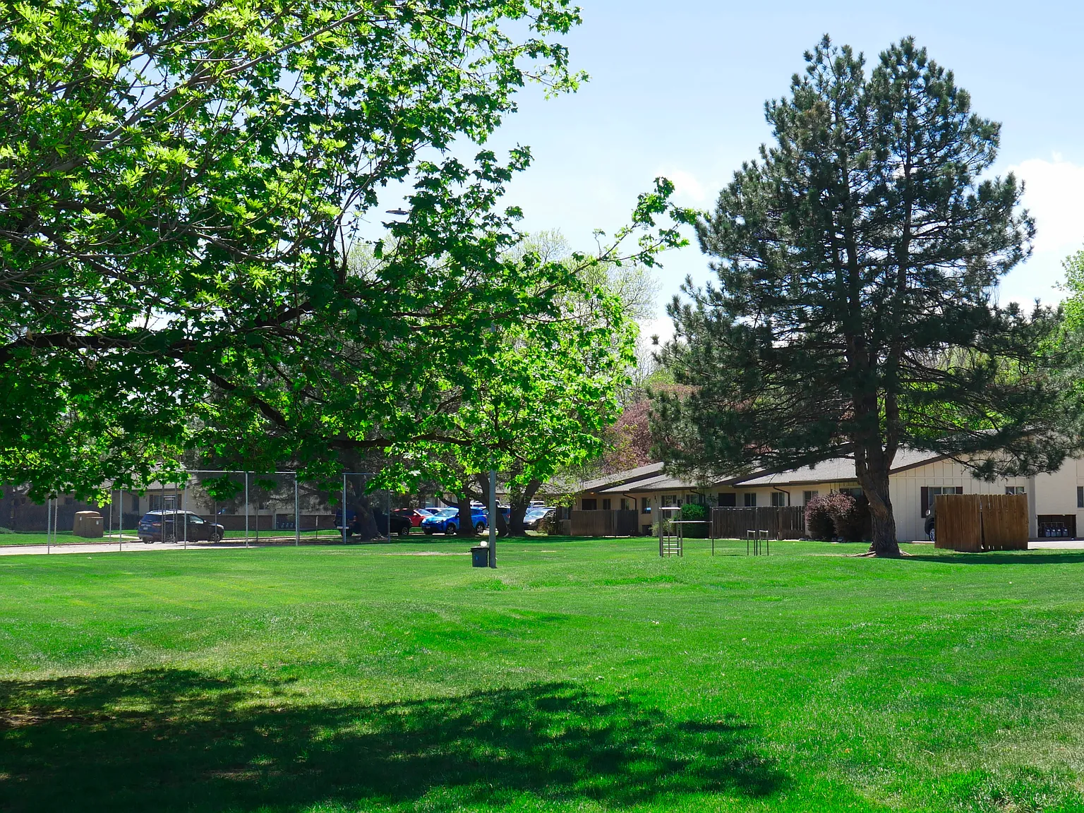 New Colony Apartments — Photo 3