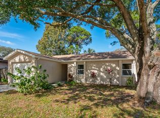 1914 Saginaw Ct, Oldsmar, FL 34677