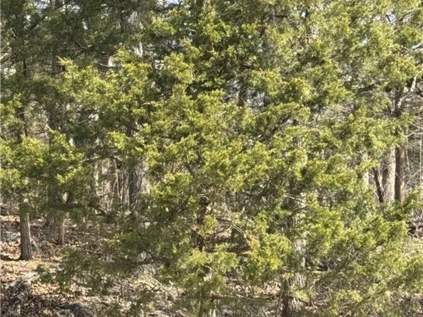 Cambridge Dr, Lake Ozark, MO 65049