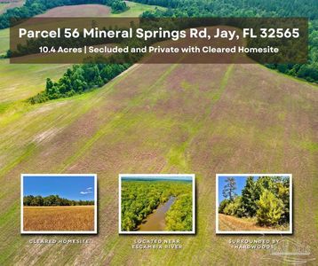 LOT 56 Mineral Springs Rd, Jay, FL, 32565