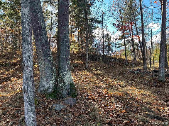 5th image of 275 Northwoods Rd