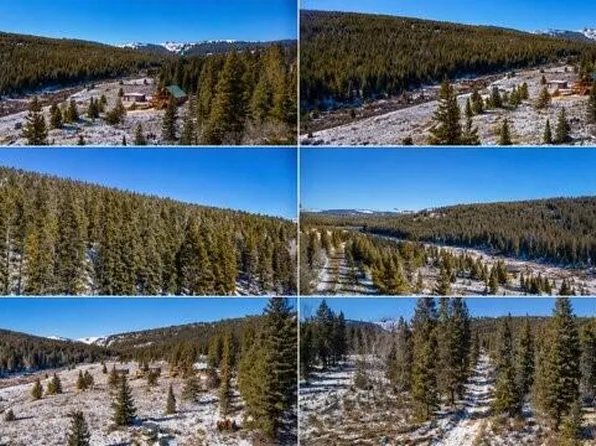 1180 Zebulon Street, Alma, CO 80420