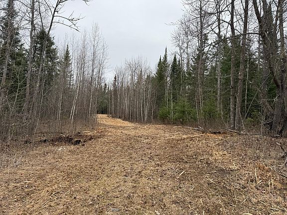 3rd image of N Little Turtle Lake Rd