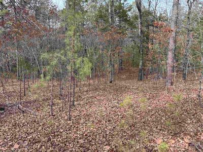 (Undisclosed Address), Clinton, AR, 72031