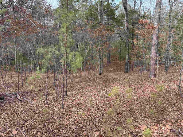 (undisclosed Address), Clinton, AR 72031