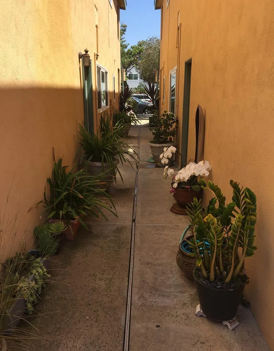 2 bed, 742 sqft, $3,500 — Photo 2